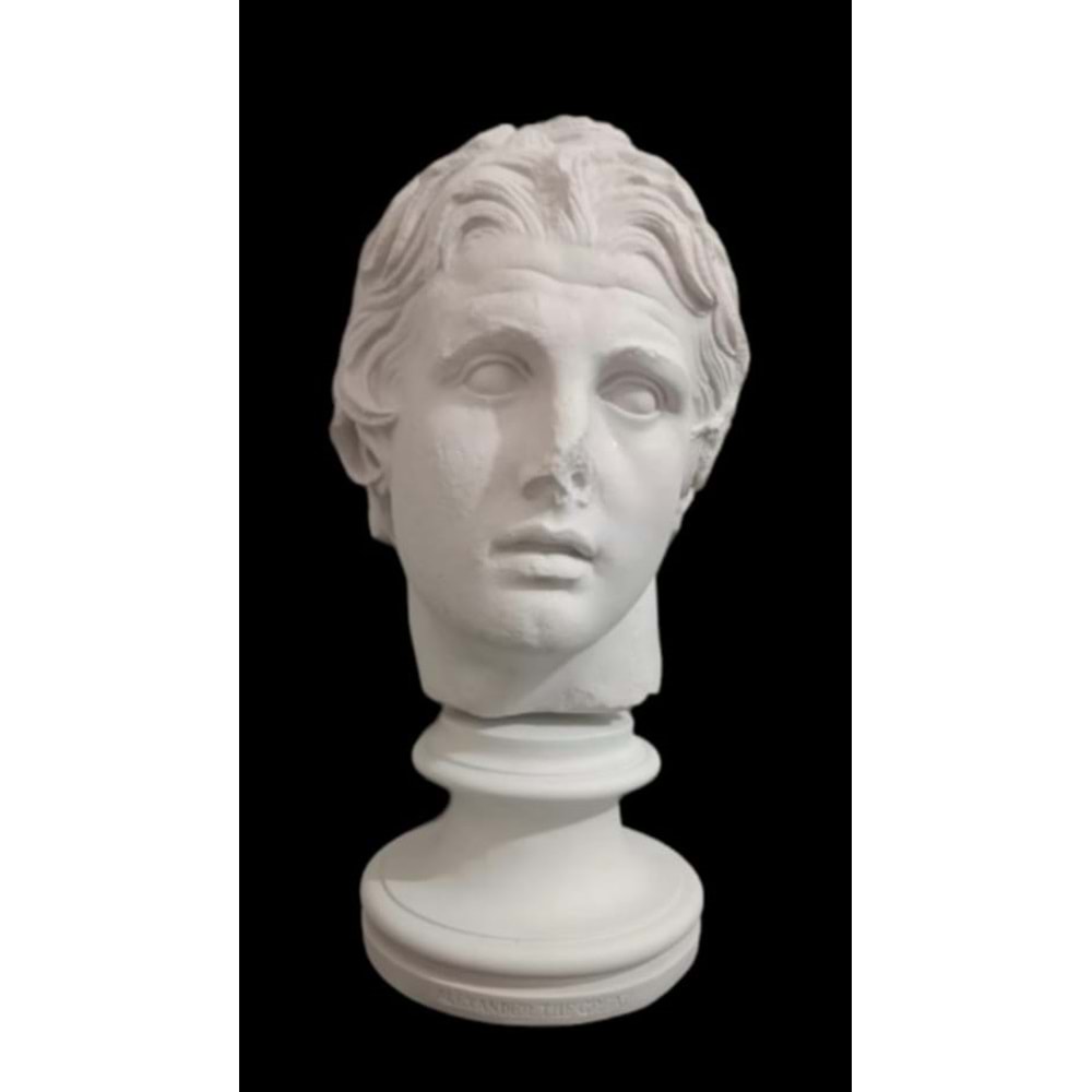 POLYESTER İSKENDER ALEXANDER KAİDELİ HAM