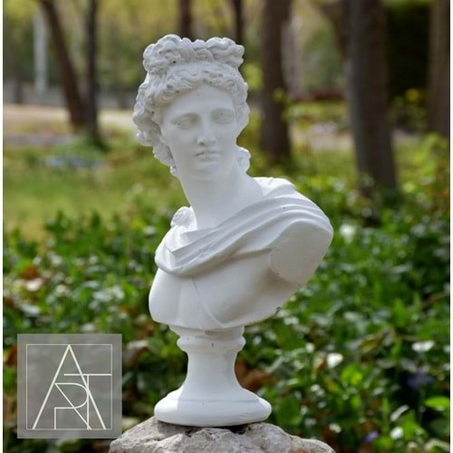 POLYESTER APOLLON BÜST- PP 344 - 32X21