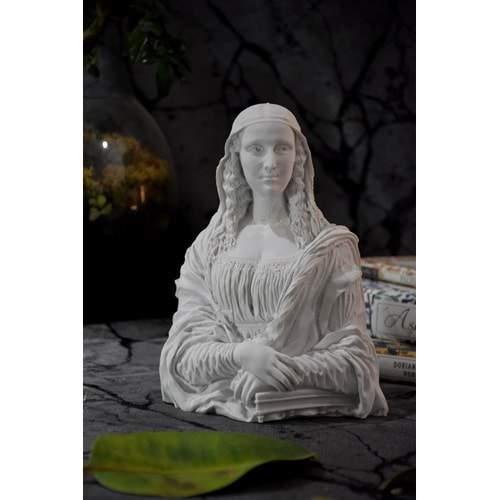 POLYESTER MONA LİSA - PP 350 - 22X20