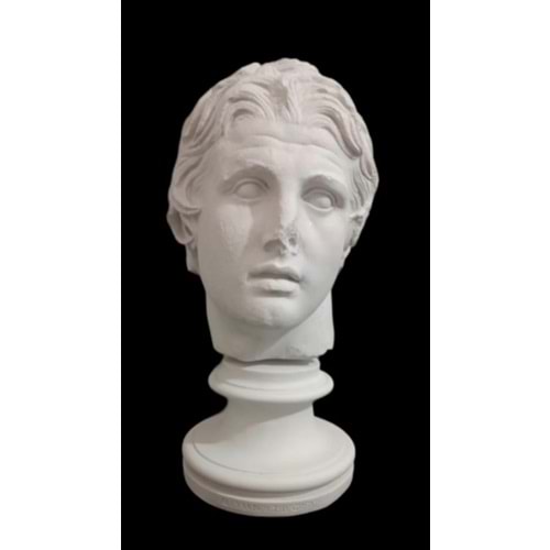 POLYESTER İSKENDER ALEXANDER KAİDELİ HAM