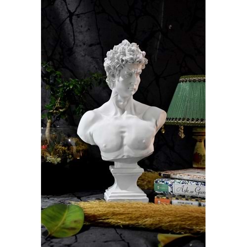 POLYESTER DAVUT BÜST BÜYÜK - PP 343 - 45X26